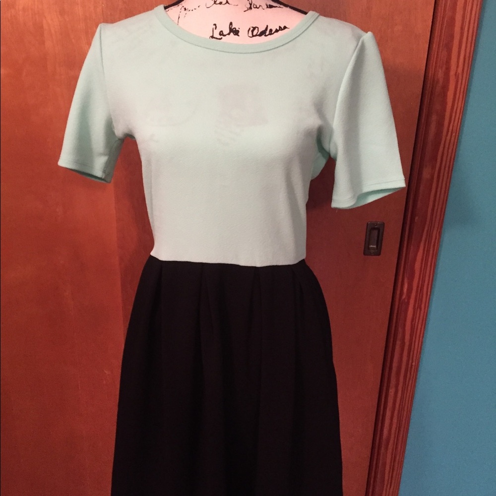 NWOT Lularoe Amelia